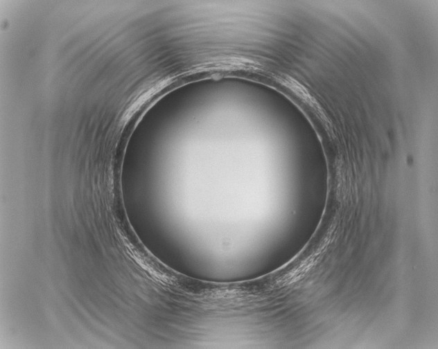 X0000059230834200511041239