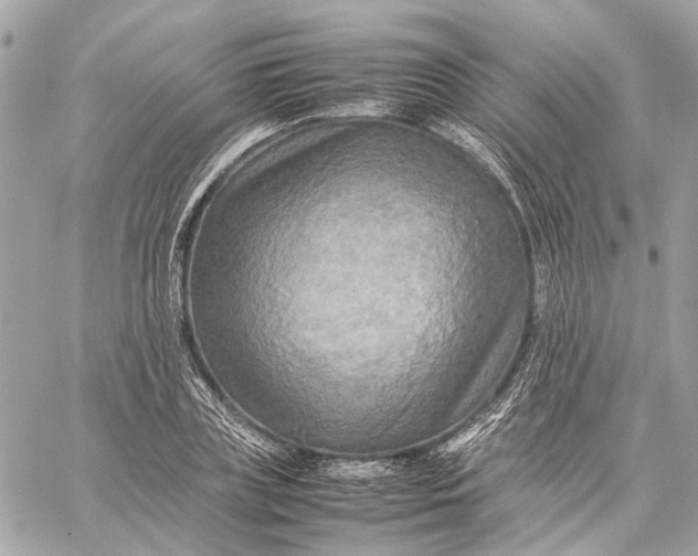 X0000059230835200511041239