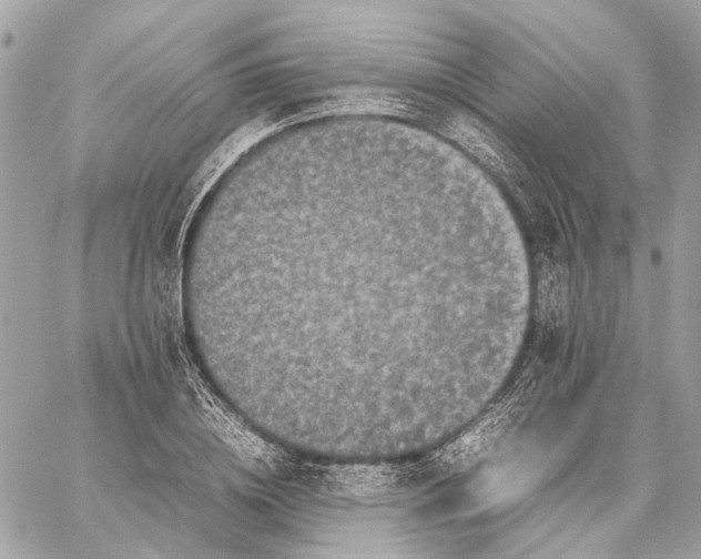 X0000059230836200511041239