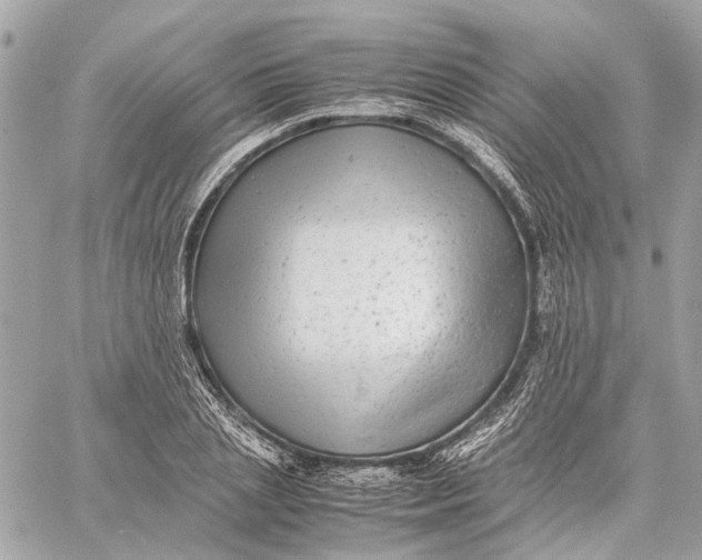 X0000059230837200511041239