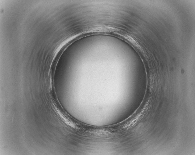 X0000059230838200511041239