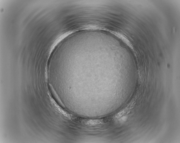 X0000059230839200511041239