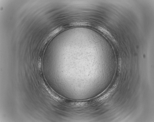 X0000059230841200511041239