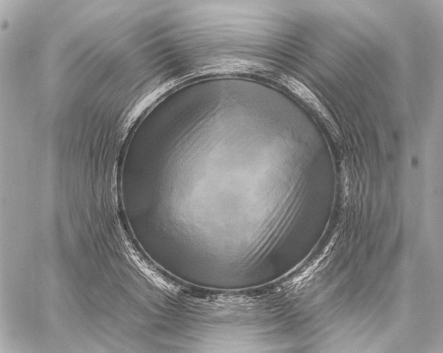 X0000059230842200511041240