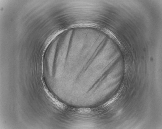 X0000059230844200511041240