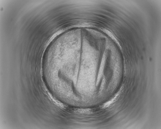 X0000059230845200511041240