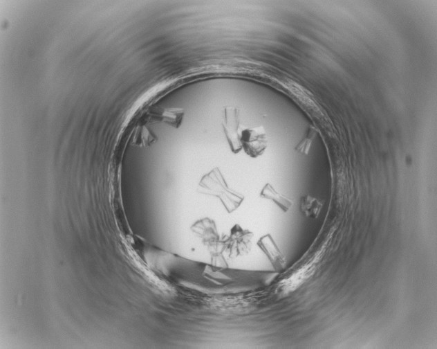 X0000059230846200511041240