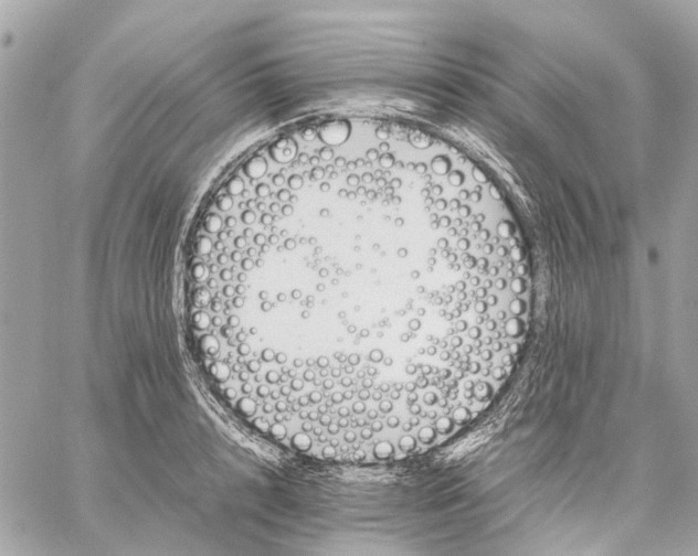 X0000059230848200511041240