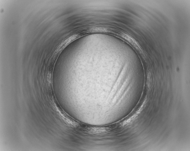 X0000059230849200511041240