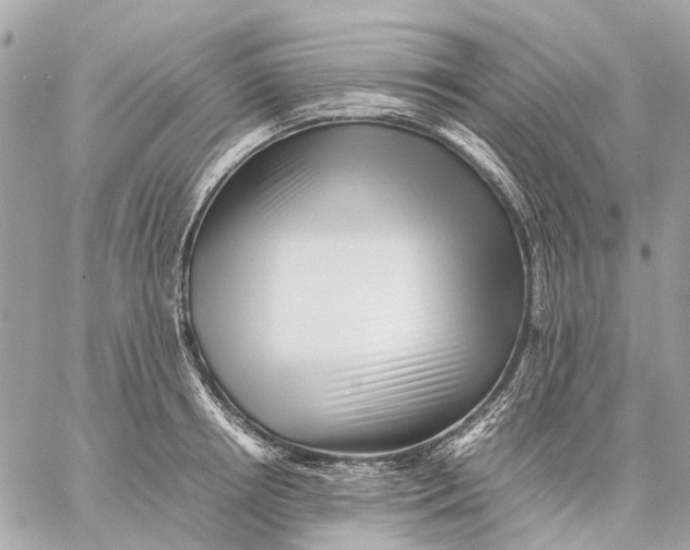 X0000059230850200511041240