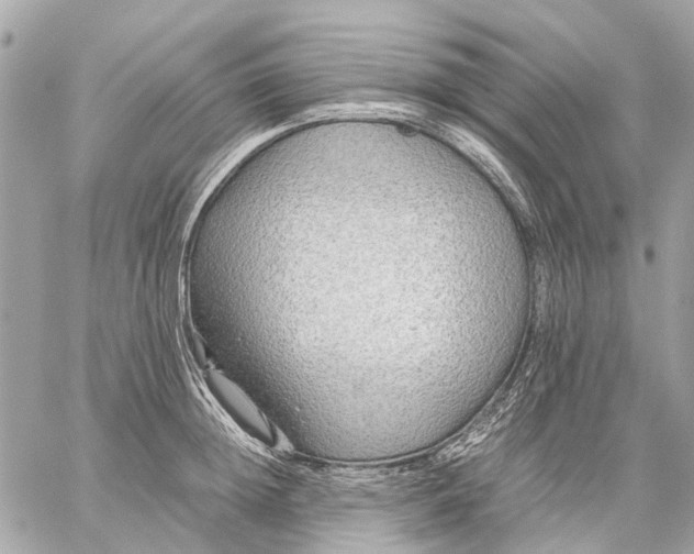 X0000059230852200511041240