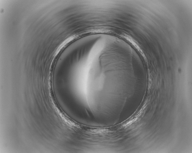 X0000059230853200511041240