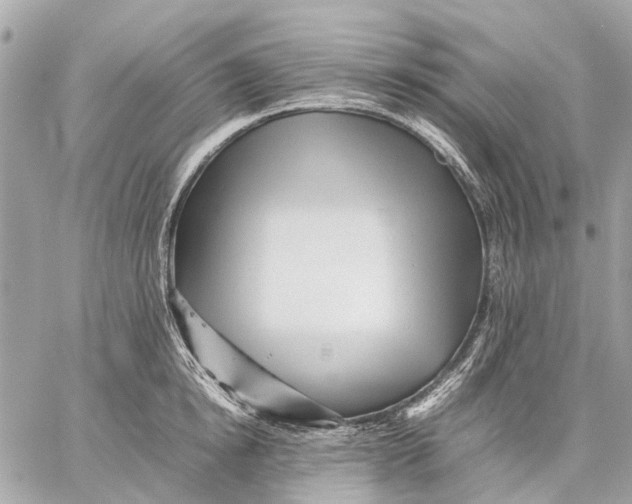 X0000059230854200511041240