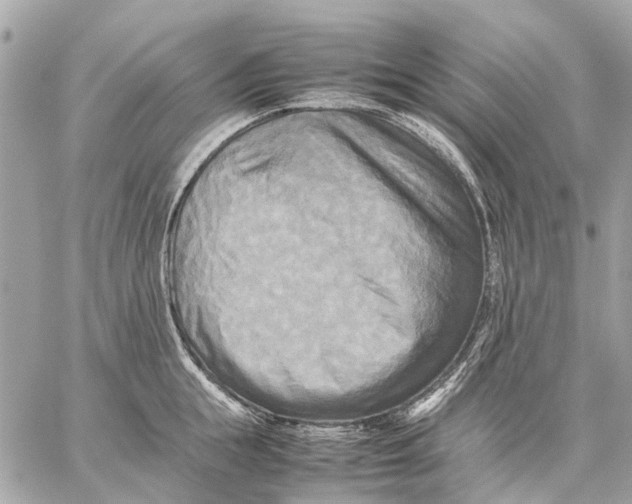 X0000059230855200511041240