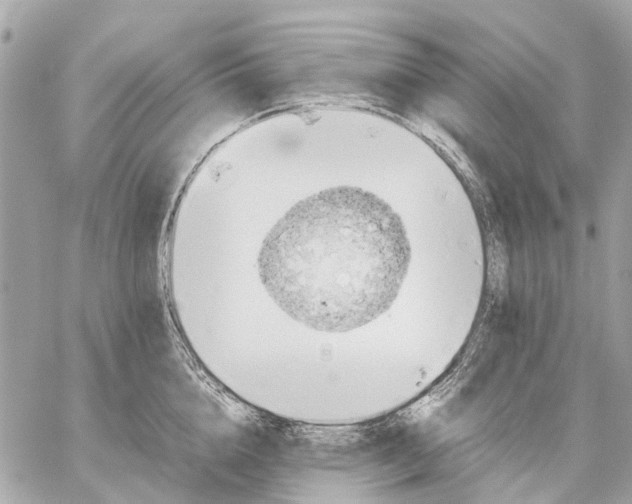 X0000059230856200511041240