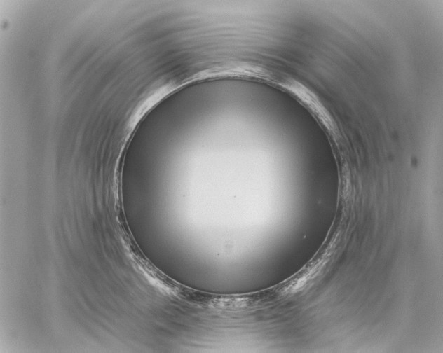 X0000059230858200511041240