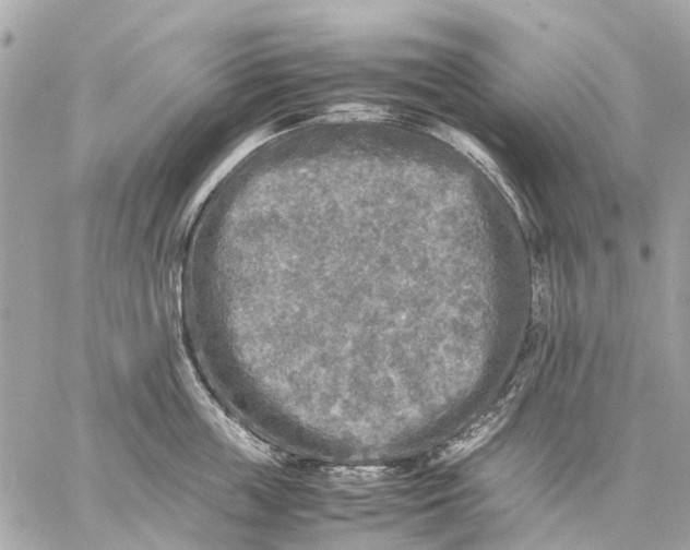 X0000059230859200511041240