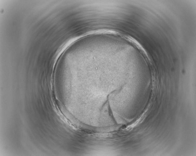 X0000059230860200511041240