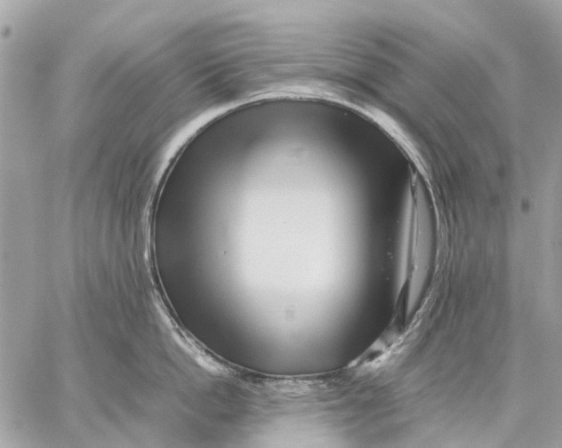 X0000059230862200511041240