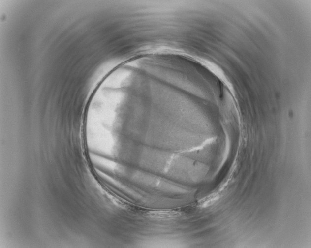 X0000059230863200511041240