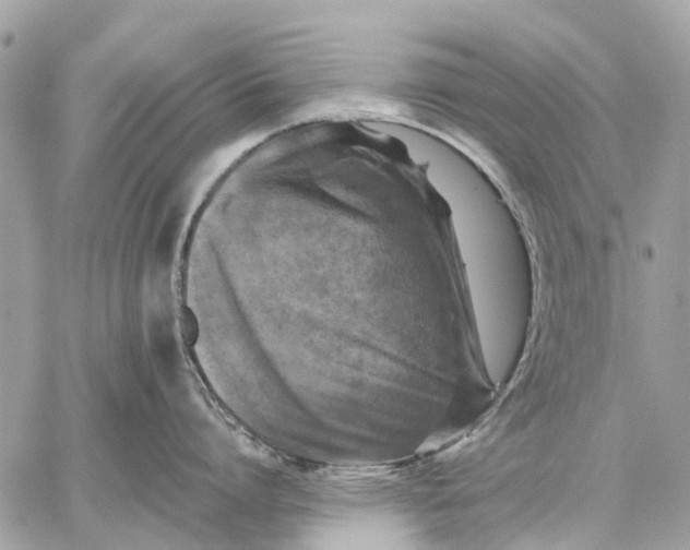 X0000059230864200511041240