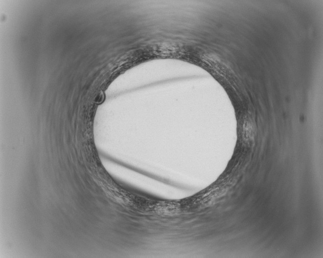 X0000059230865200511041239