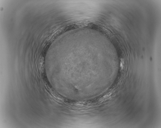 X0000059230867200511041239