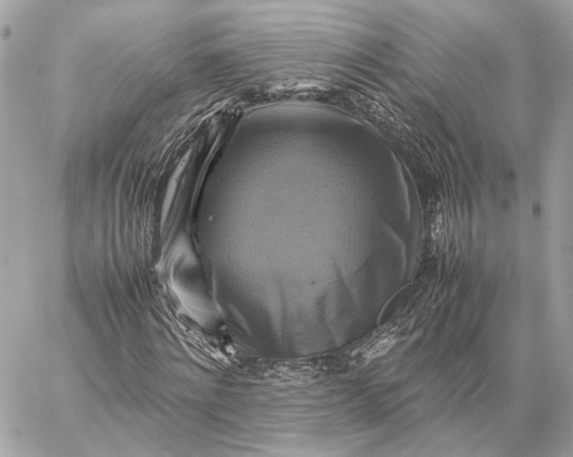 X0000059230868200511041239