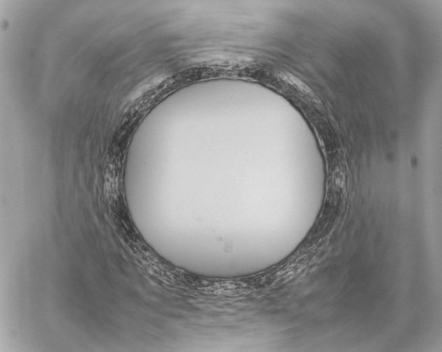 X0000059230869200511041239