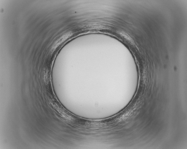 X0000059230873200511041239