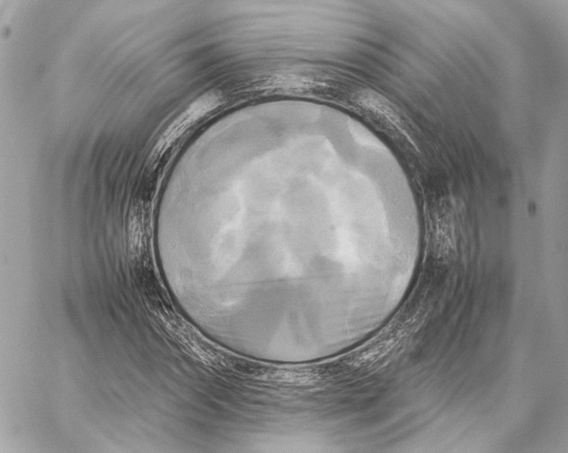 X0000059230874200511041239