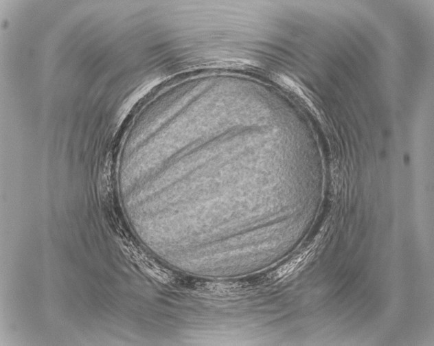 X0000059230875200511041239