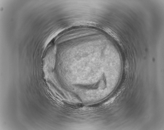 X0000059230877200511041239