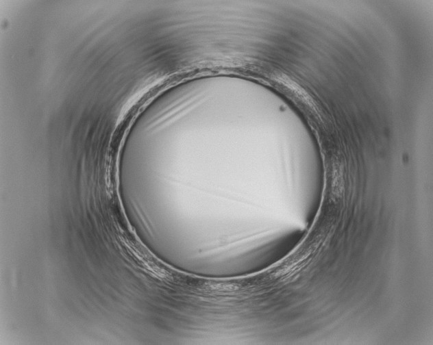 X0000059230878200511041239