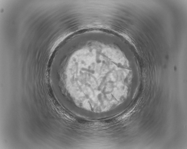 X0000059230879200511041239