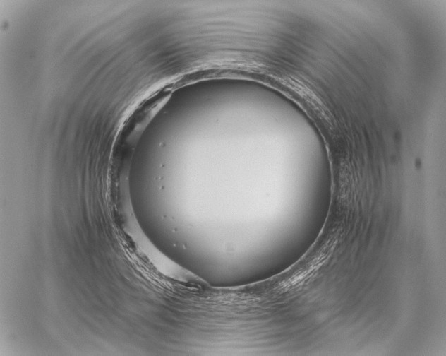 X0000059230880200511041239