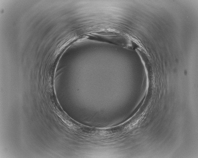 X0000059230881200511041239