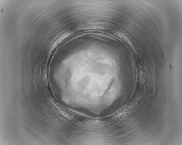 X0000059230882200511041239