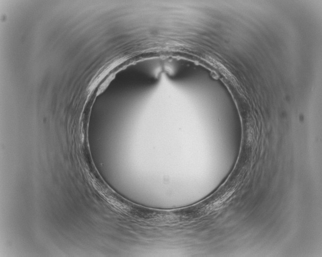 X0000059230885200511041239