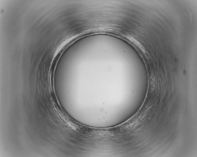 X0000059230886200511041239