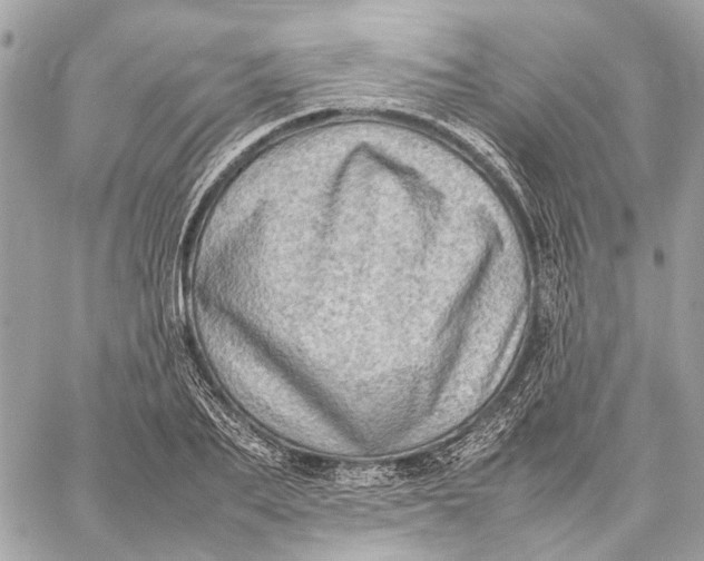 X0000059230887200511041239