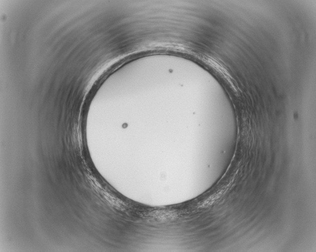 X0000059230888200511041239