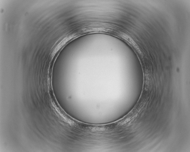 X0000059230890200511041239