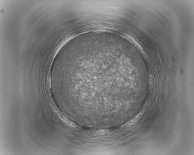 X0000059230891200511041239