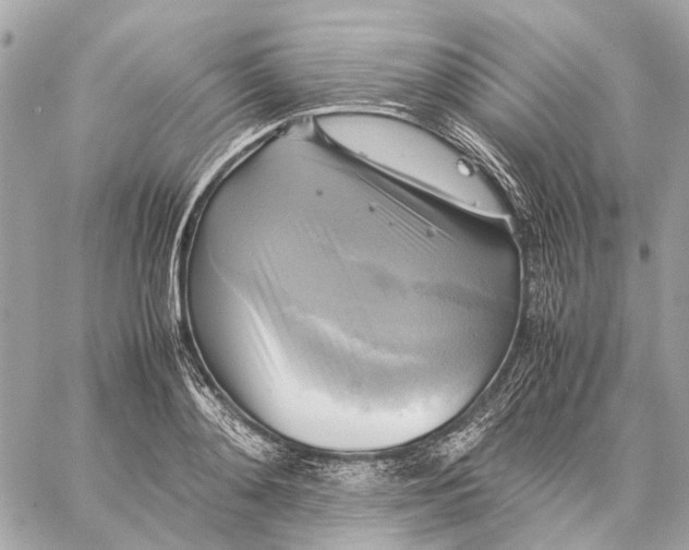 X0000059230892200511041239