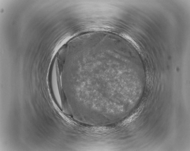 X0000059230893200511041239