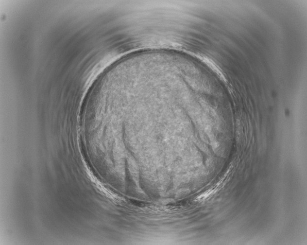 X0000059230895200511041239