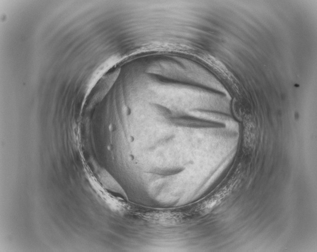 X0000059230896200511041239