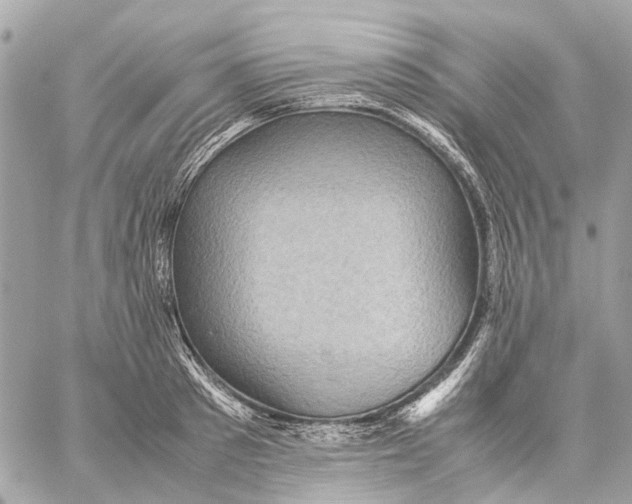 X0000059230897200511041239