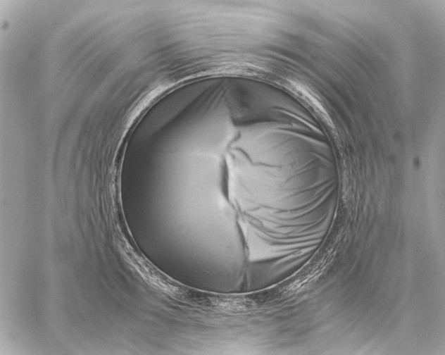 X0000059230899200511041239